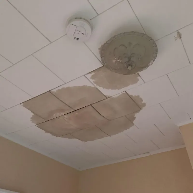 Ceiling Water Damage Repair in Williamstown, PA