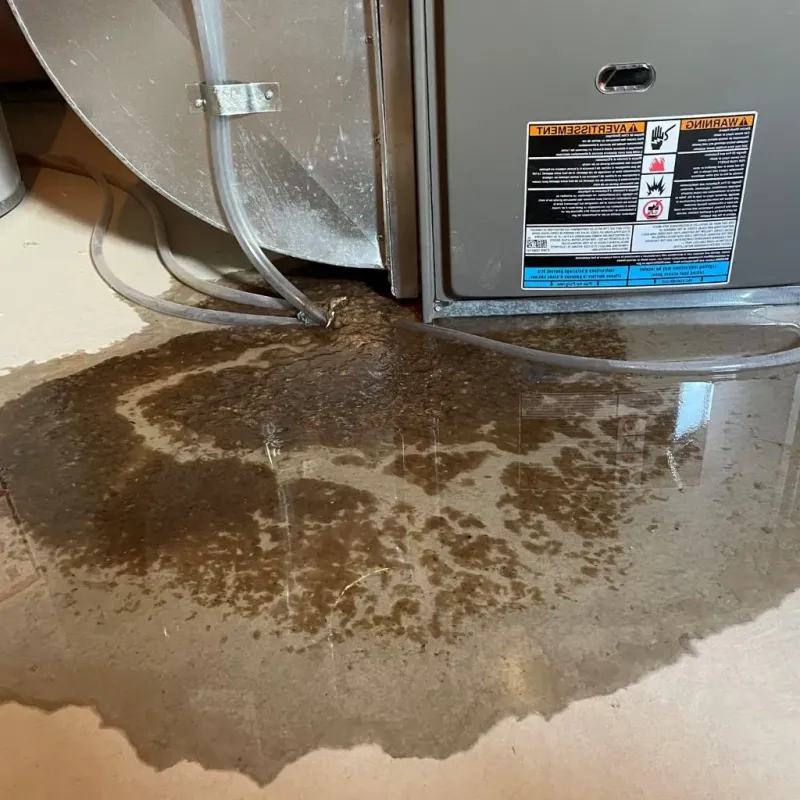 Pipe Burst and Leak Restoration in Williamstown, PA
