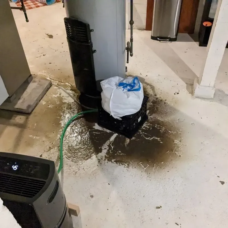 Sewage Backup Cleanup Service in Williamstown, PA